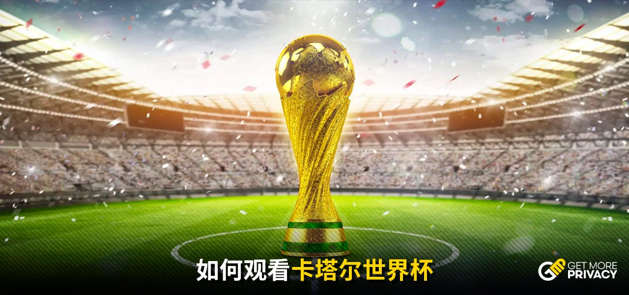 舒适的观赛