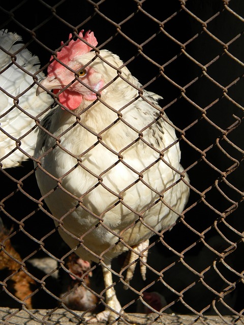 由此可见 由此可见