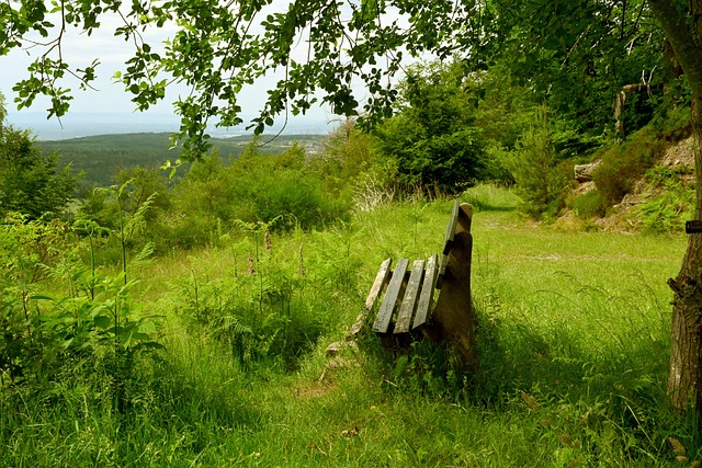 这比他的年 这比他的年